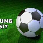 Các thông tin cần biết về kèo rung là gì trước khi chọn lựa